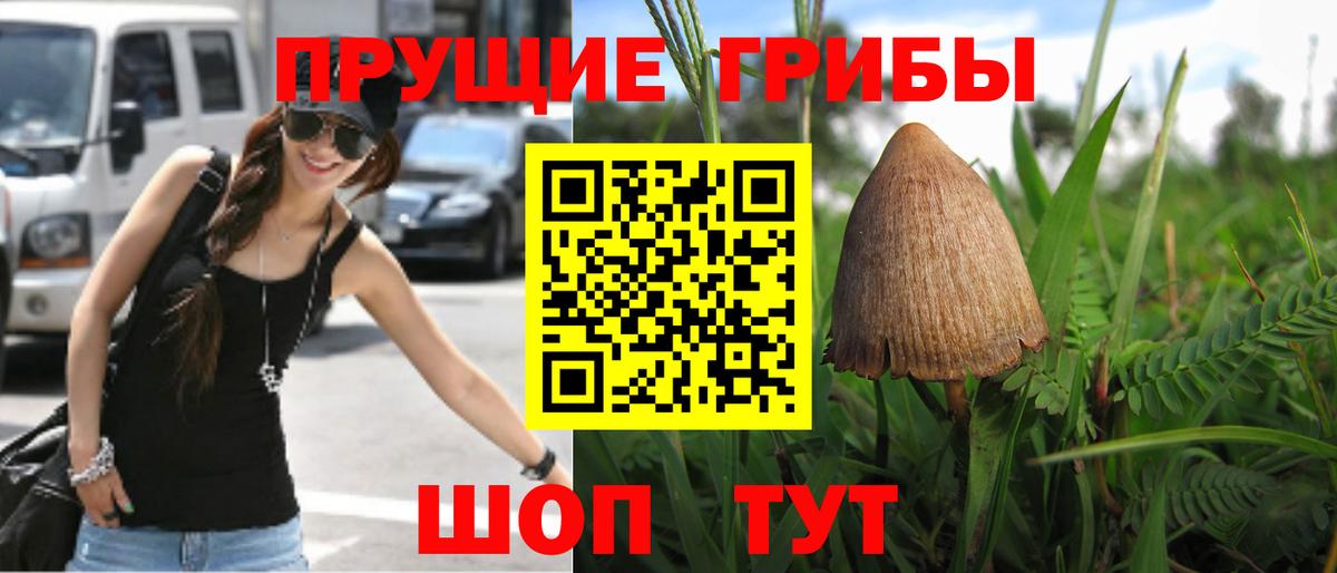 Галлюциногенные грибы Psilocybe  Псилоцибиновые грибы Psilocybine cubensis  Похвистнево  Вход с VPN 
